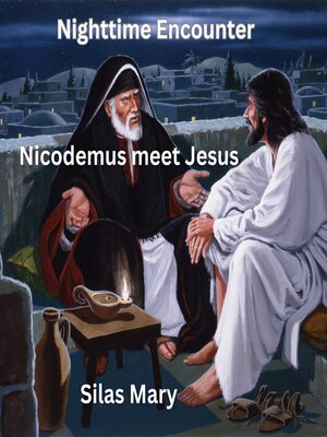cover image of Nighttime Encounter